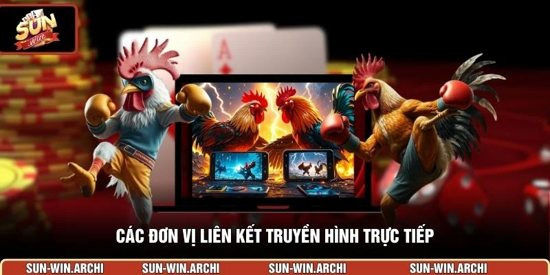Các đơn vị liên kết truyền hình trực tiếp