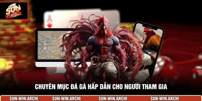 Chuyên mục đá gà hấp dẫn cho người tham gia